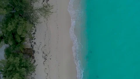 Face Down Drone Shot of the Coastline at Bimini Bahamas 4K Stock Footage 84239420
