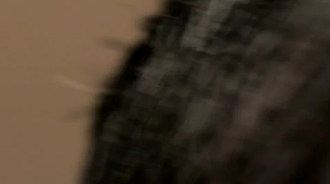 Face with extremely shallow depth of field Stock Footage 784479