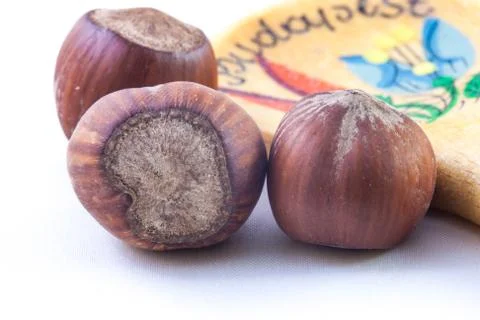 Face to face with hazelnuts Stock Photos