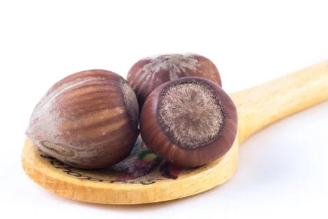 Face to face with hazelnuts Stock Photos