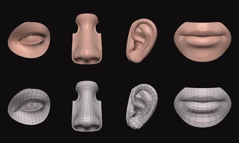 Face - Facial Element - Ear-Lip-Nose-Eye 3D 3D Model