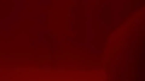 Face of Fetus Inside Womb Lightened with Flashlight Stock Footage 253977519