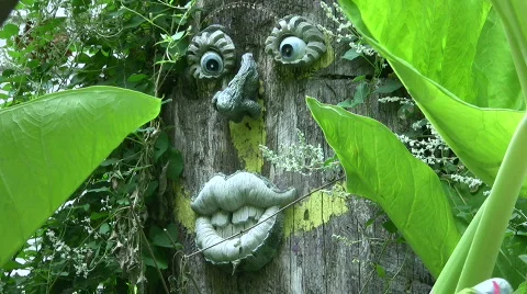 Face in the forest Stock Footage 517214