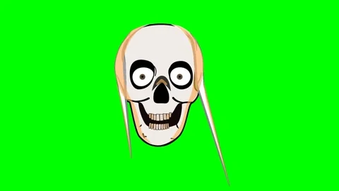 Face of a ghost or skeleton and bones that is scary but laughs and talks Stock Footage 286338487
