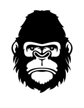 Face of gorilla isolated on white. Stock Illustration