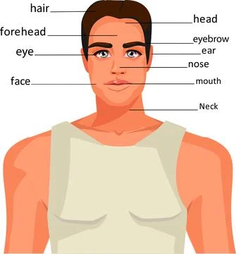 The face of a handsome man Stock Illustration