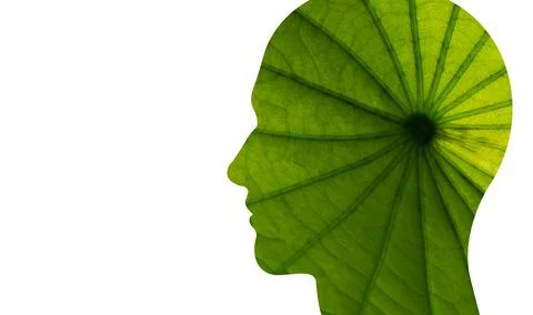 Face with leaf texture silhouette isolated on white background. illustration. Foto stock