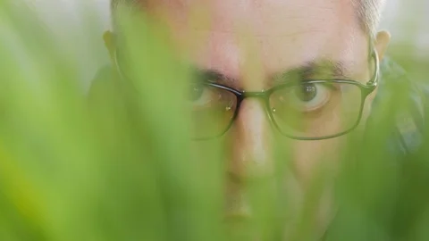 The face of a man peeping through a thicket of grass Stock Footage 106739690