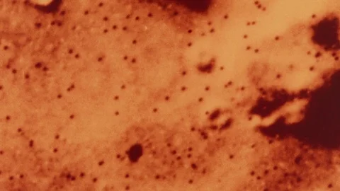 Face on Mars, pareidolia Video stock 75603637