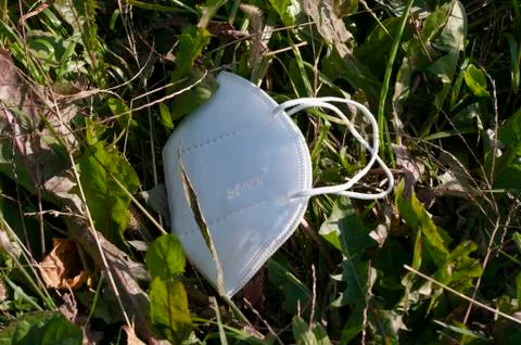 Face mask drop on ground grass floor in forest, save the nature. garbage. Stock Photos