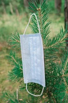 Face mask hanging on pine tree branch in nature setting Stock-Fotos