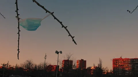 Face mask hangs from a tree branch with the city in the background Stock Footage 151475102