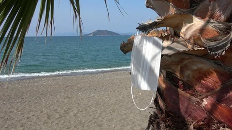 Face mask on palm tree with beach in the background Stock Footage 127322320