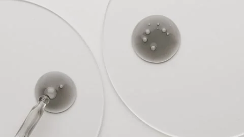 Face mask with particles. A sample of a cosmetic scrub for cleansing the skin Stock Footage 257566316