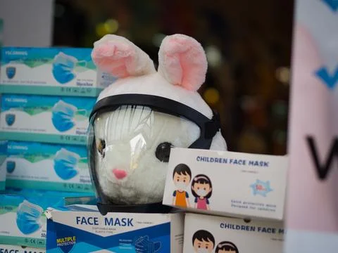 Face Mask on Rabbit Foto stock