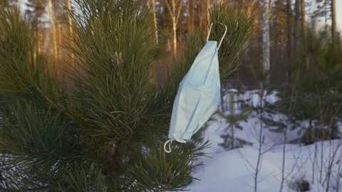 Face Mask on Spruce tree Stock Footage 147864176