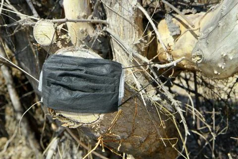 Face Mask.Protective Mask After Coronavirus Covid-19 Infection.People Threw Out Stock Photos