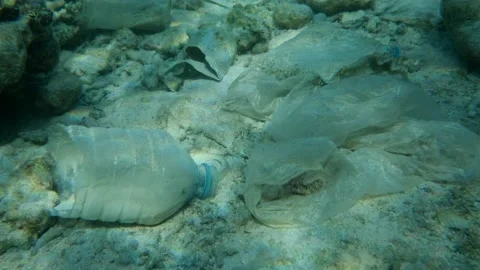 Face masks, plastic and other debris on seabed in Red Sea. Stock Footage 143472425