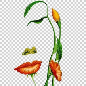 The face of nature designed with these plants Stock Illustration