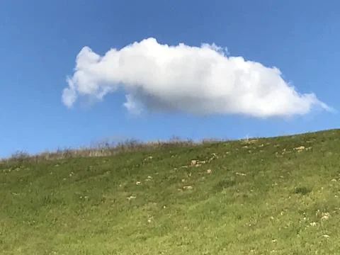 Face Up or Face Down Stock Photos