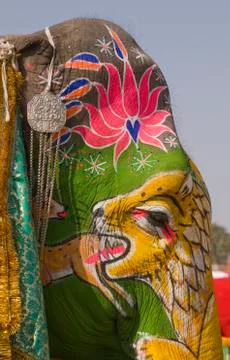 Face Paint Stock Photos