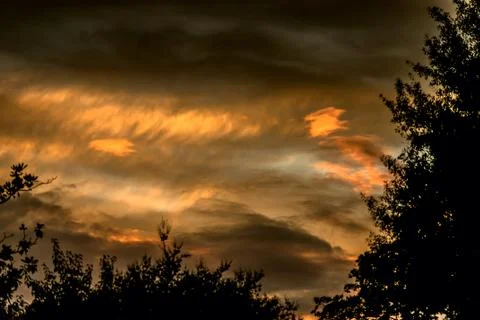 The face 库存照片