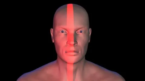 Face recognition , biometric verification . scanning. 3d face. Front view Stock Illustration