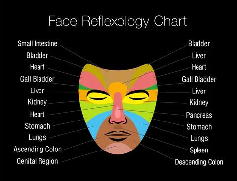 Face Reflexology Chart Internal Organs Mapping Areas Body Parts Black Illustrazione stock