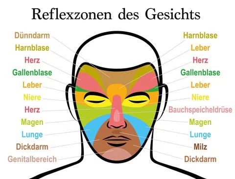 Face Reflexology German Chart Inner Organs Massage Areas Body Parts Stock Illustration