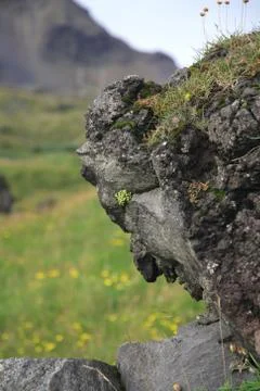 Face in the rock Stock Photos