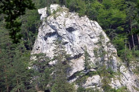 Face in rock Stock Photos