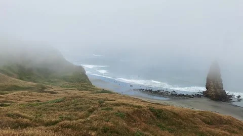 Face Rock State Scenic viewpoint in Bandon, Oregon in fog Stock-Footage 278185101