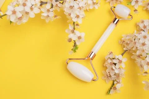 Face roller for face massage on a yellow background with blooming cherry. Cos Stock Photos