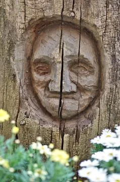 Face sculpture on tree Stock Photos