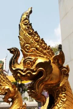 Face of serpent Foto stock