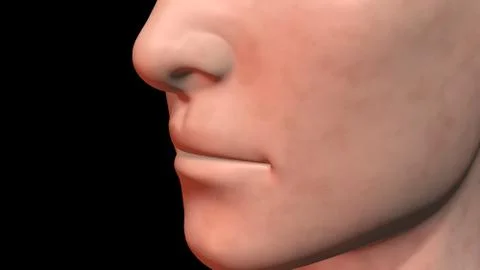 Face skin age spots light surface color. 3d rendering Stock Illustration