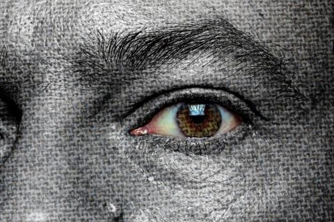 Face of textile Illustrazione stock