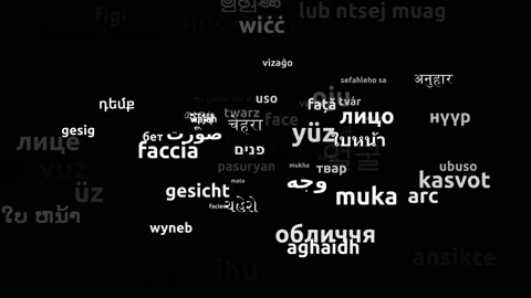 Face Translated in 74 Worldwide Languages Endless Looping 3d Zooming Wordclou Video stock 145204843