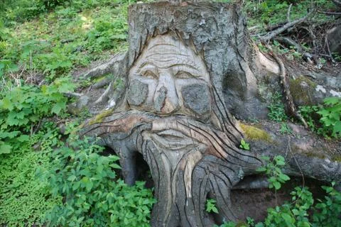 Face on a tree Stock Photos