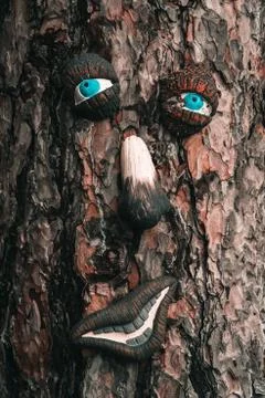 Face in the tree. Stock-Fotos