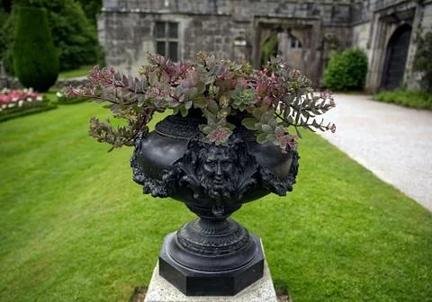 Face on an Urn ready to bloom Stock Photos