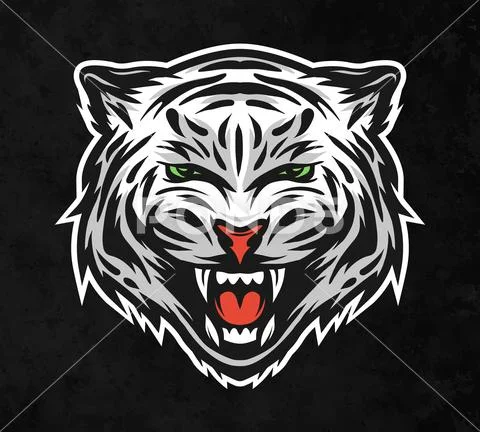 Face of a white tiger. On dark background. Stock Illustration