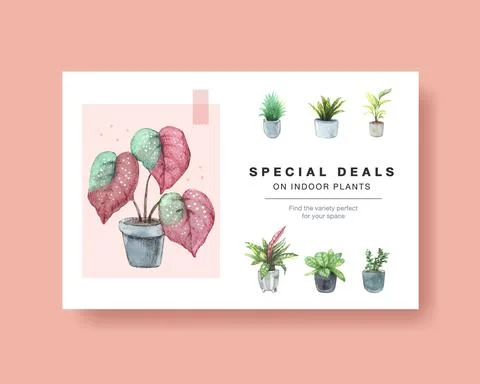 Facebook template with summer plants design for socail media,internet,web,onl Ilustración de archivo