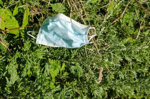 Facemask trapped in hedgerow Stock Photos