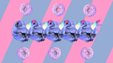 Faces of cat unicorns and moving donuts on striped purple and pink background. Stock Footage 129895725