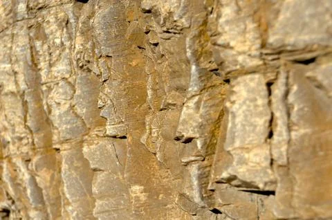 Faces In The Rock Stock Photos