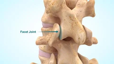 Facet joints of 3d illustration Stock Illustration