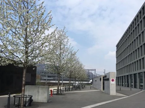 Fachhochschule Campus Windisch in springtime 스톡 사진