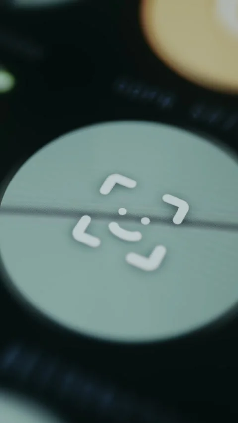 Facial recognition icon with a scanner symbol Stock Footage 334935633
