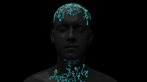 Facial Recognition System Stock Illustration